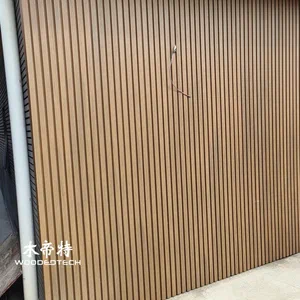 Dekorative WPC-Platte 3D: Moderne architektonische Innen- und Außenwandverkleidung
